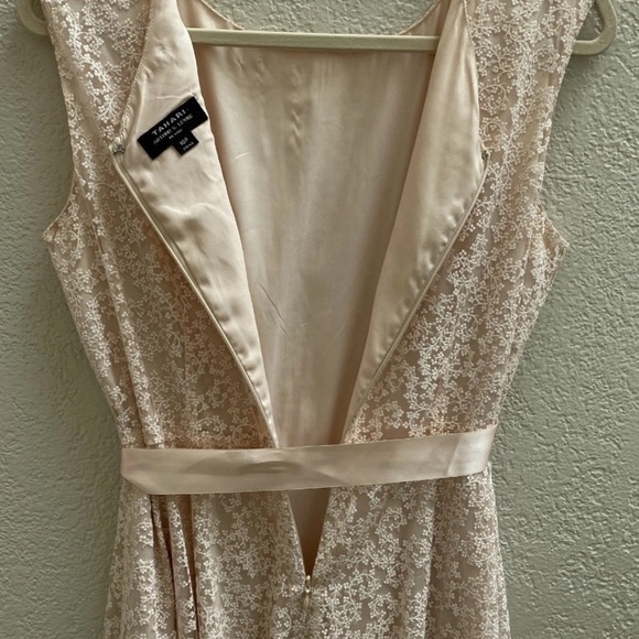 TAHARI Arthur S. Levine A-Line Lace Overlay Dress Blush Shimmer Floral Size 10P - Picture 9 of 14
